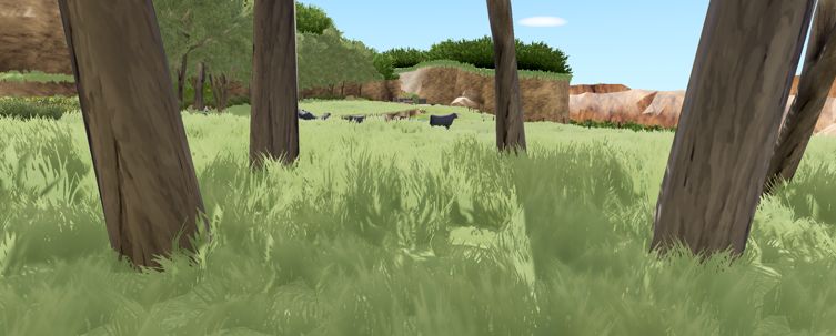 Grass