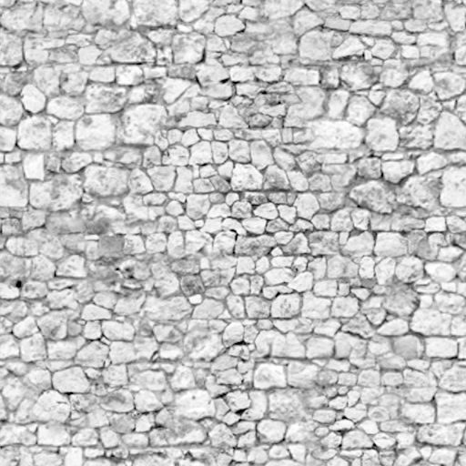 Ramp Texture